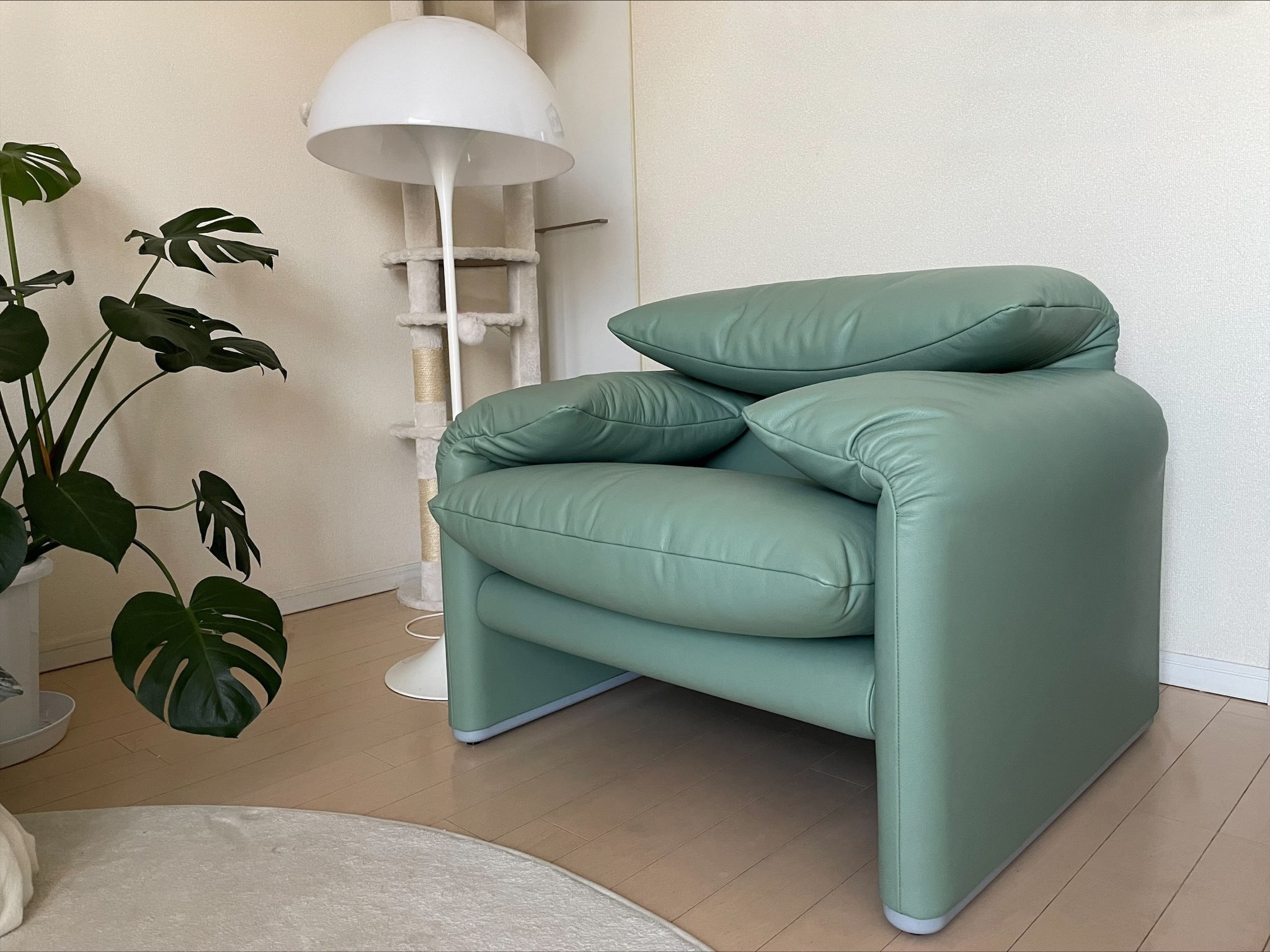 納品実績 Cassina