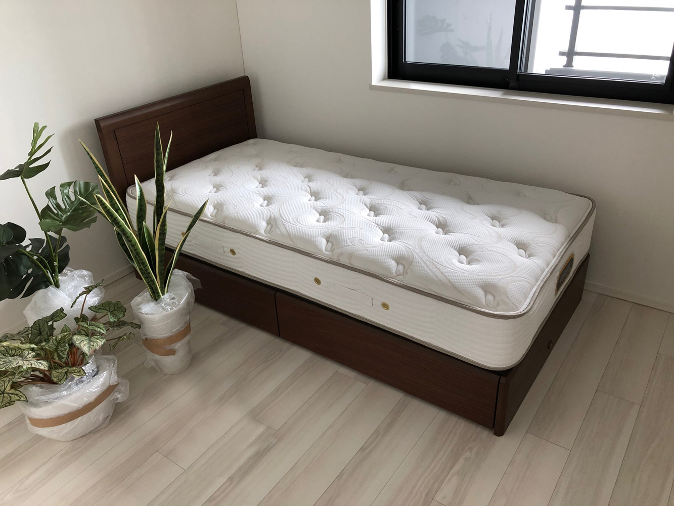 納品実績 Simmons