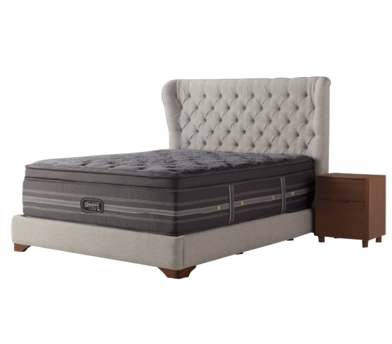 ベイリーブラン