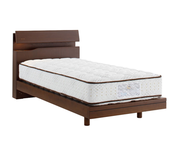 HOTEL STYLE 599