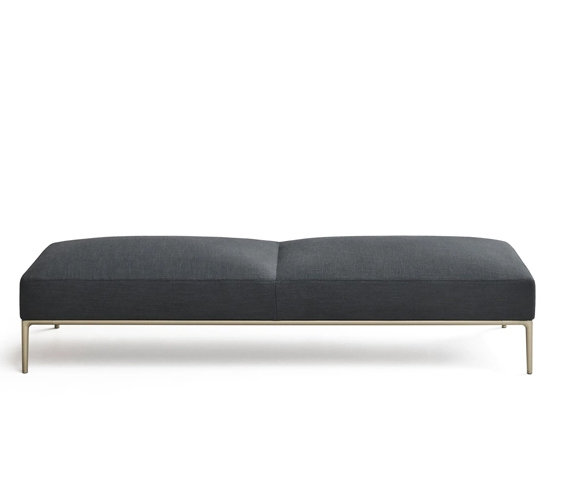 Horizontal Bench Ēdition