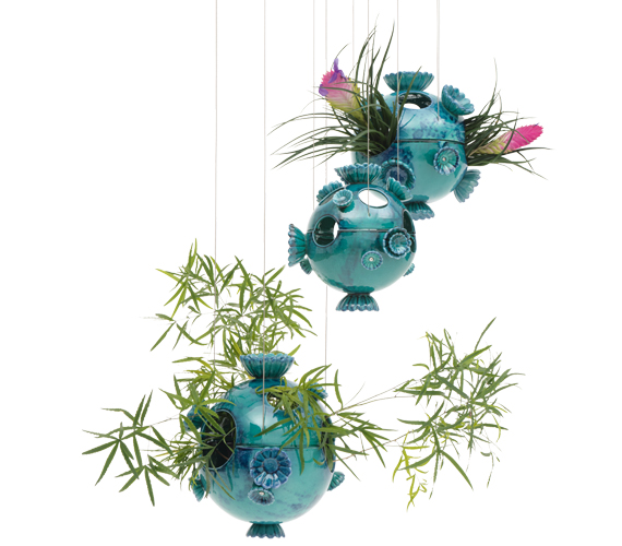 MARIMO